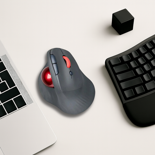Souris Ergonomique Sans Fil - Trackball Bluetooth 2400 DPI