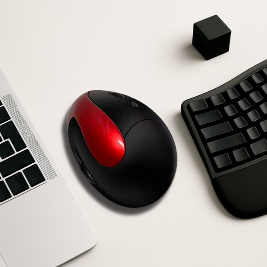 Souris Ergonomique Sans Fil - Récepteur USB 1600 DPI