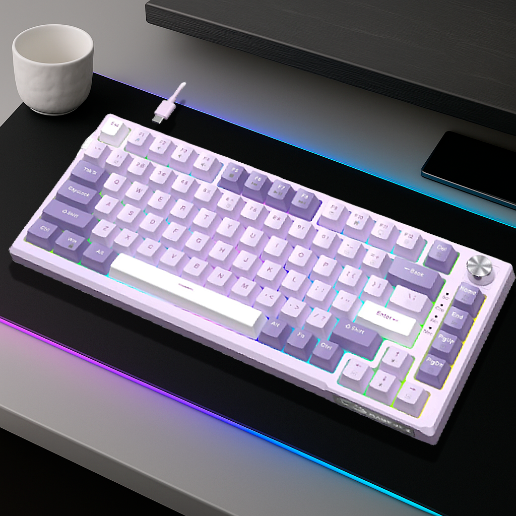 Clavier Gaming Mécanique Filaire - QWERTY RGB 75% Compact