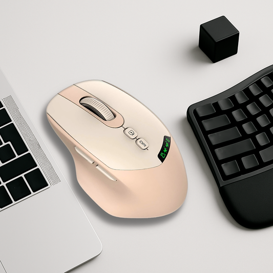 Souris Ergonomique Sans Fil - 3 DPI Ajustable