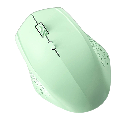 Souris Ergonomique Sans Fil -Ambidextre Compacte 3 DPI Ajustable