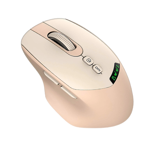 Souris Ergonomique Sans Fil - 3 DPI Ajustable