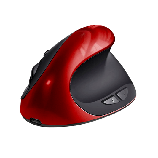 Souris Ergonomique Sans Fil - Récepteur USB 1600 DPI