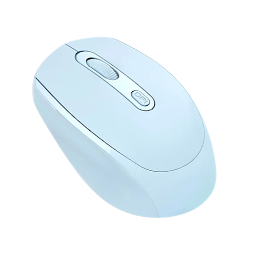 Souris Ergonomique Sans Fil - Silencieuse Compacte 1600 DPI