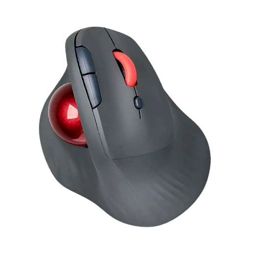 Souris Ergonomique Sans Fil - Trackball Bluetooth 2400 DPI