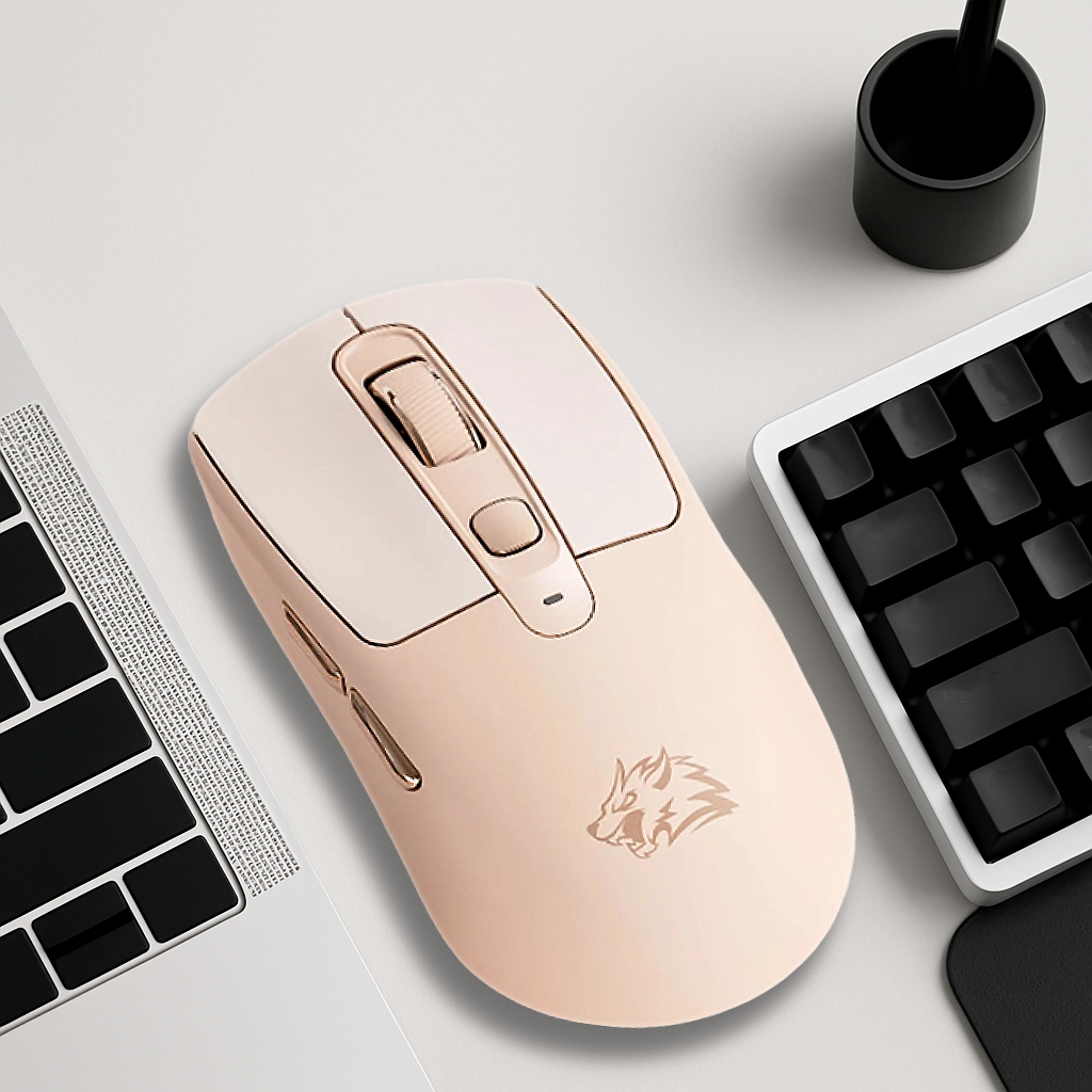 Souris PC Sans Fil - Silencieuse Ambidextre 5 DPI Réglable