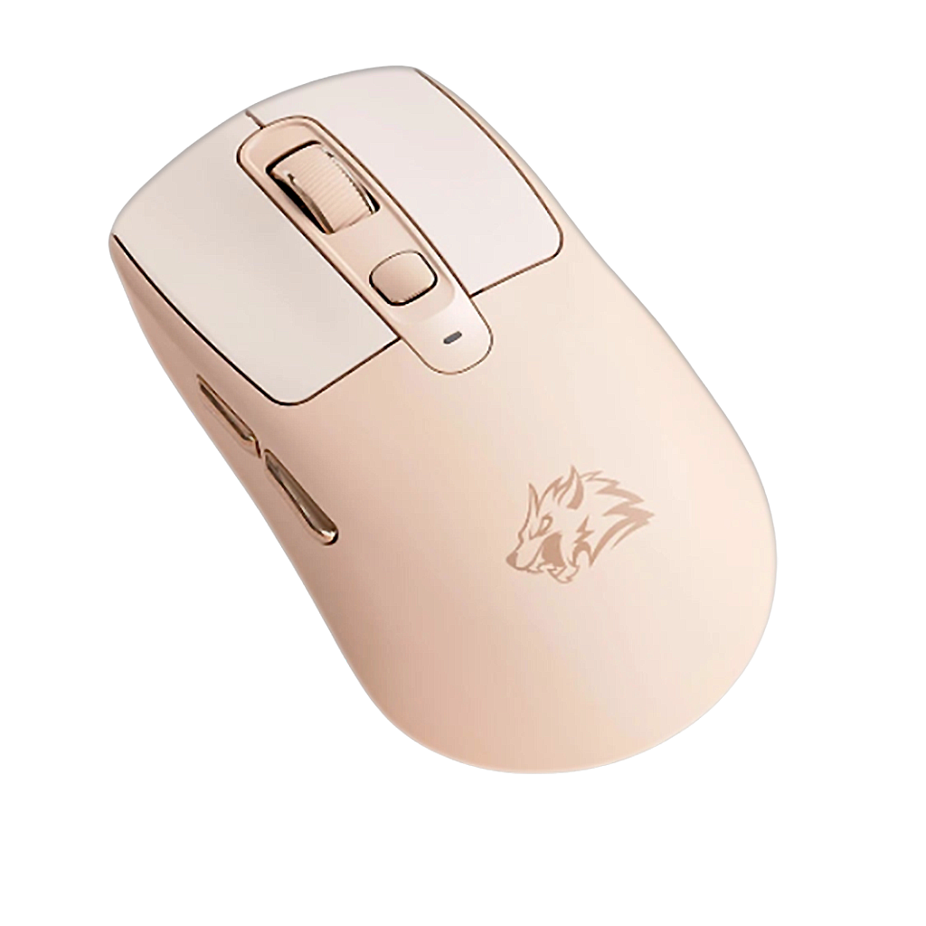 Souris PC Sans Fil - Silencieuse Ambidextre 5 DPI Réglable