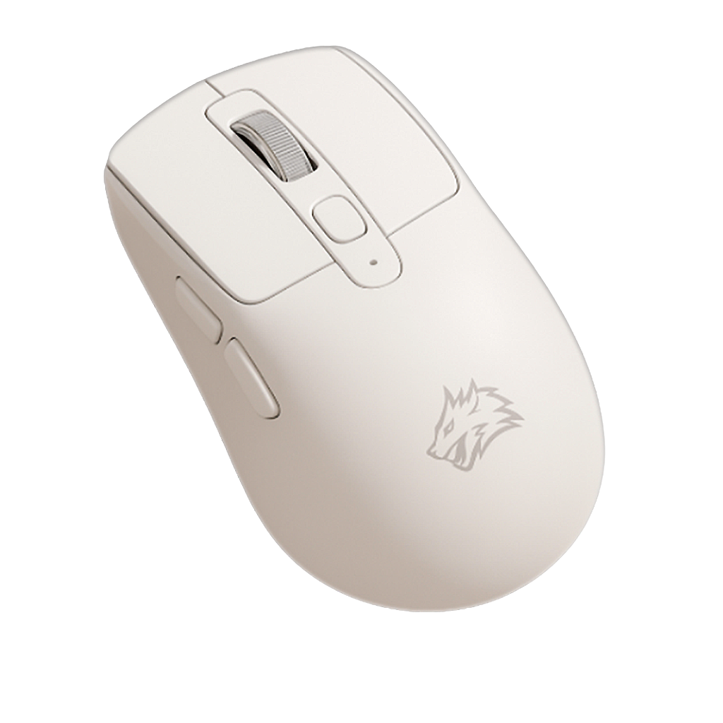 Souris PC Sans Fil - Silencieuse Ambidextre 5 DPI Réglable