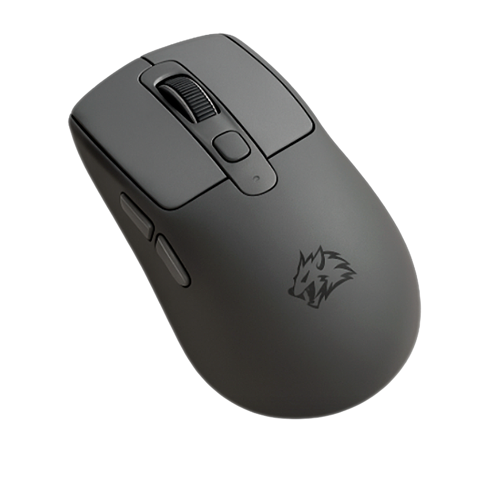 Souris PC Sans Fil - Silencieuse Ambidextre 5 DPI Réglable